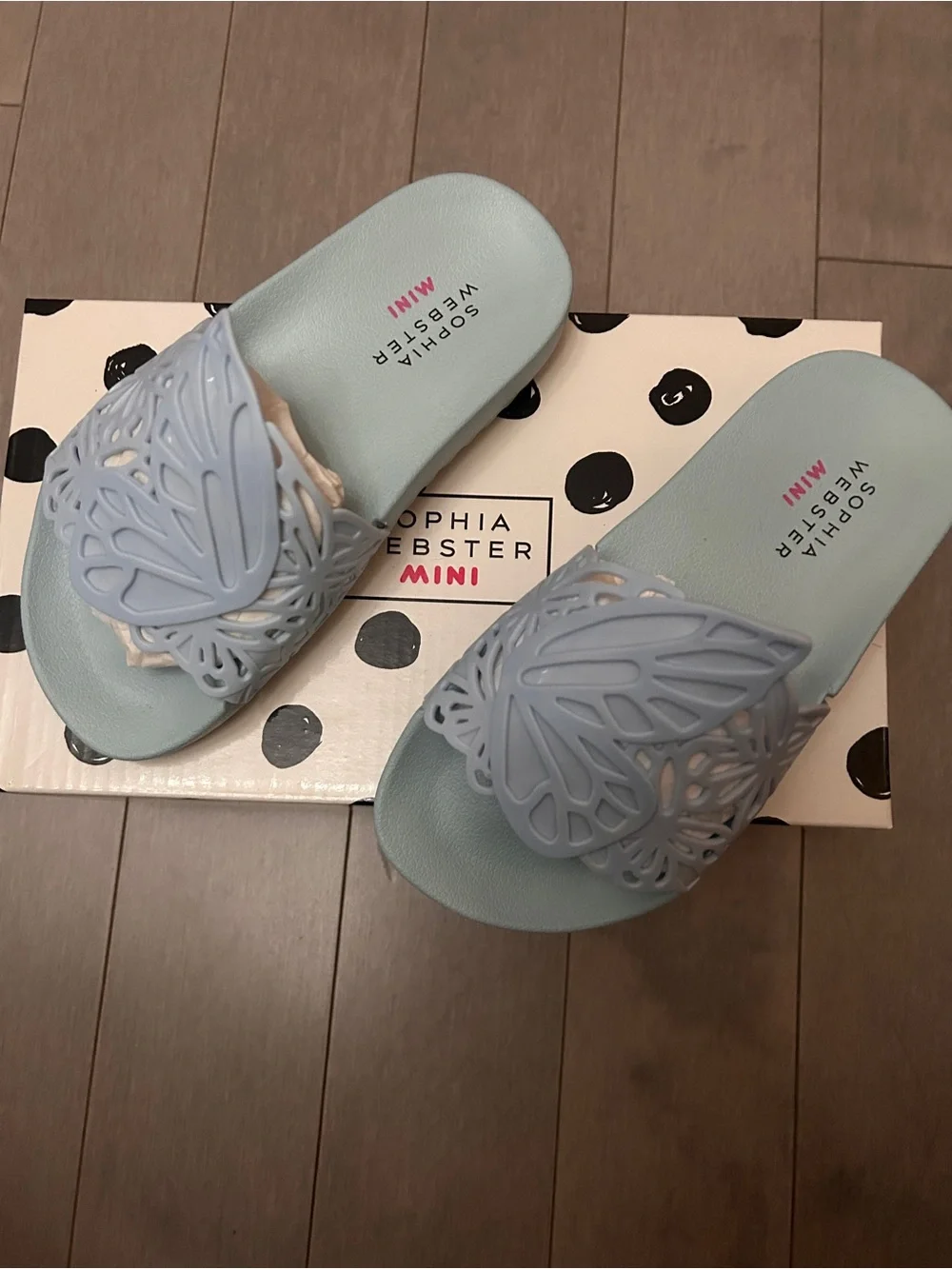 Sophia Webster Light Blue Butterfly Cutout Slide Sandals